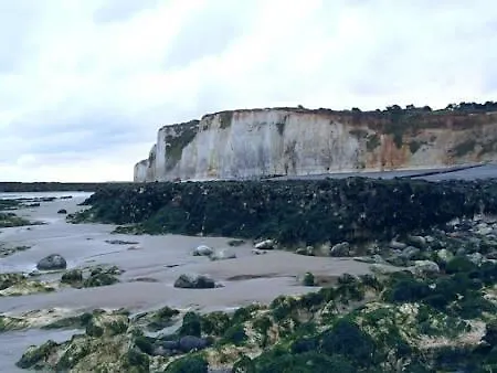 Gite De La Mer * Pourville-sur-Mer